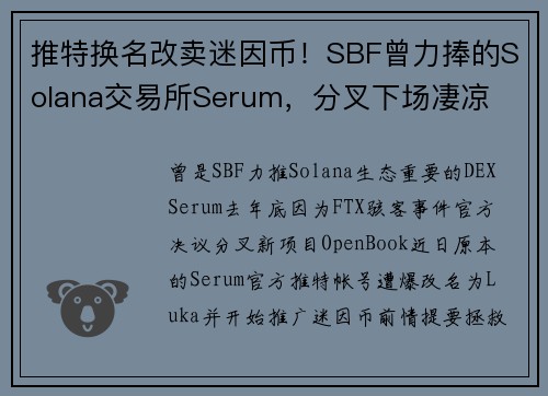 推特换名改卖迷因币！SBF曾力捧的Solana交易所Serum，分叉下场凄凉